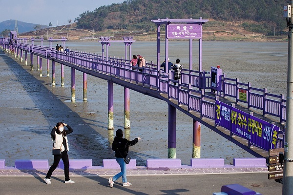 신안통신 이미지