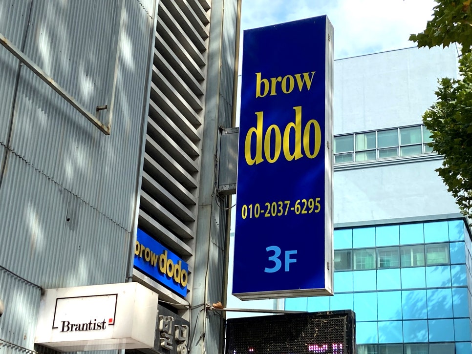 도도브로우 이미지