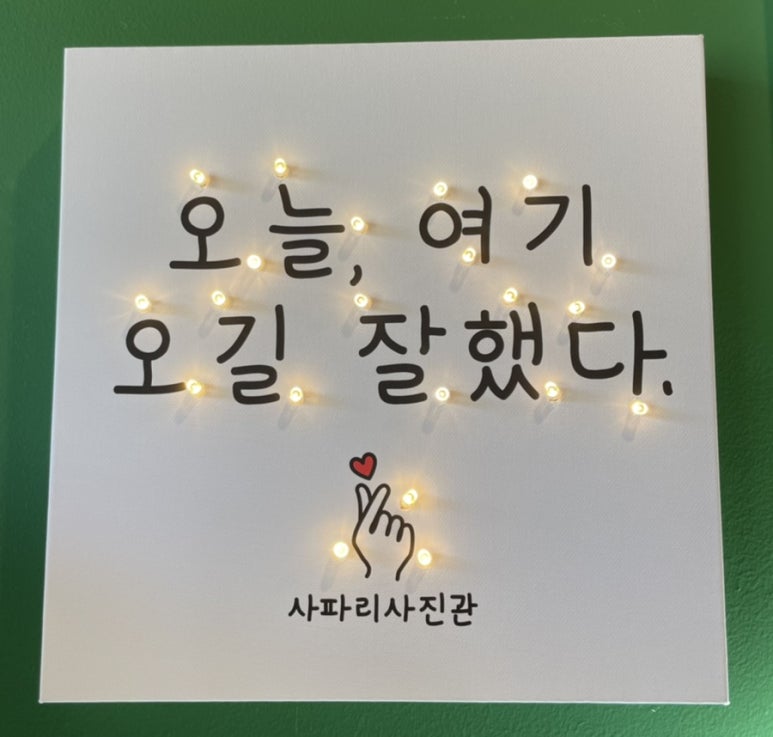사파리사진관청주점 이미지