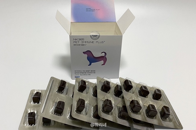 엔케이플러스 이미지