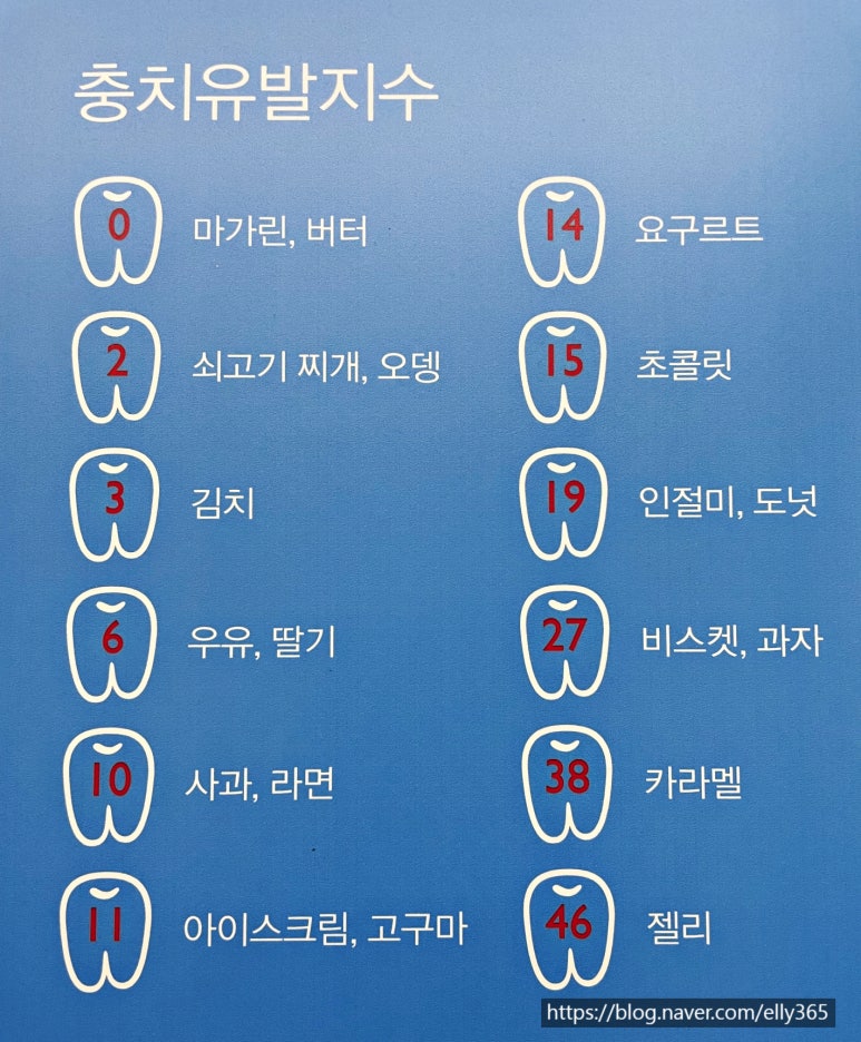키즈파파치과 이미지