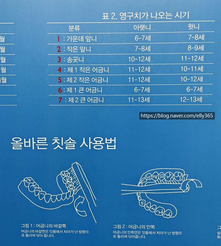 키즈파파치과 이미지