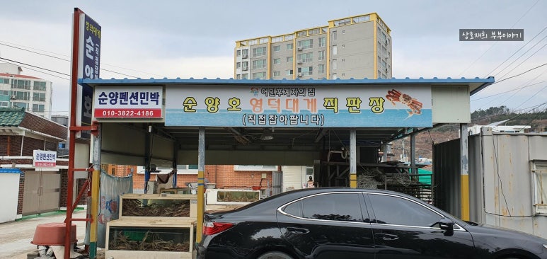 순양호영덕대게직판장 이미지