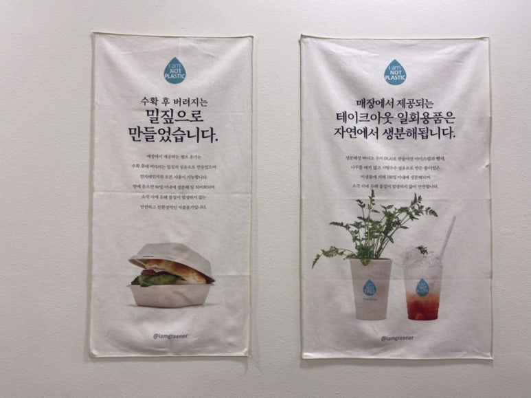 샐디치 이미지