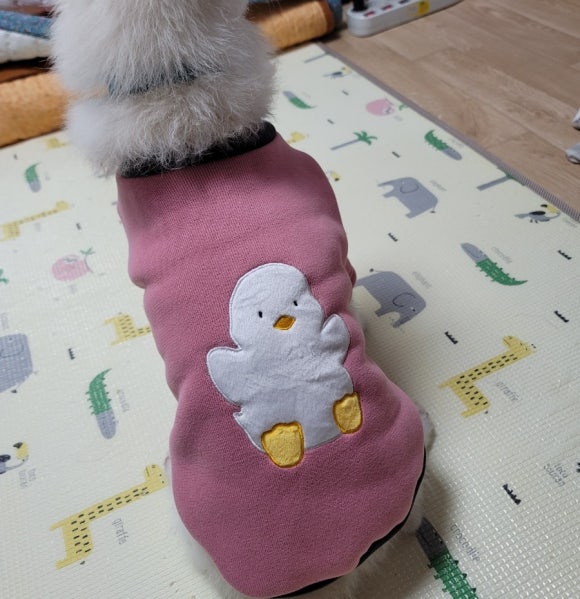 황실짜장 이미지