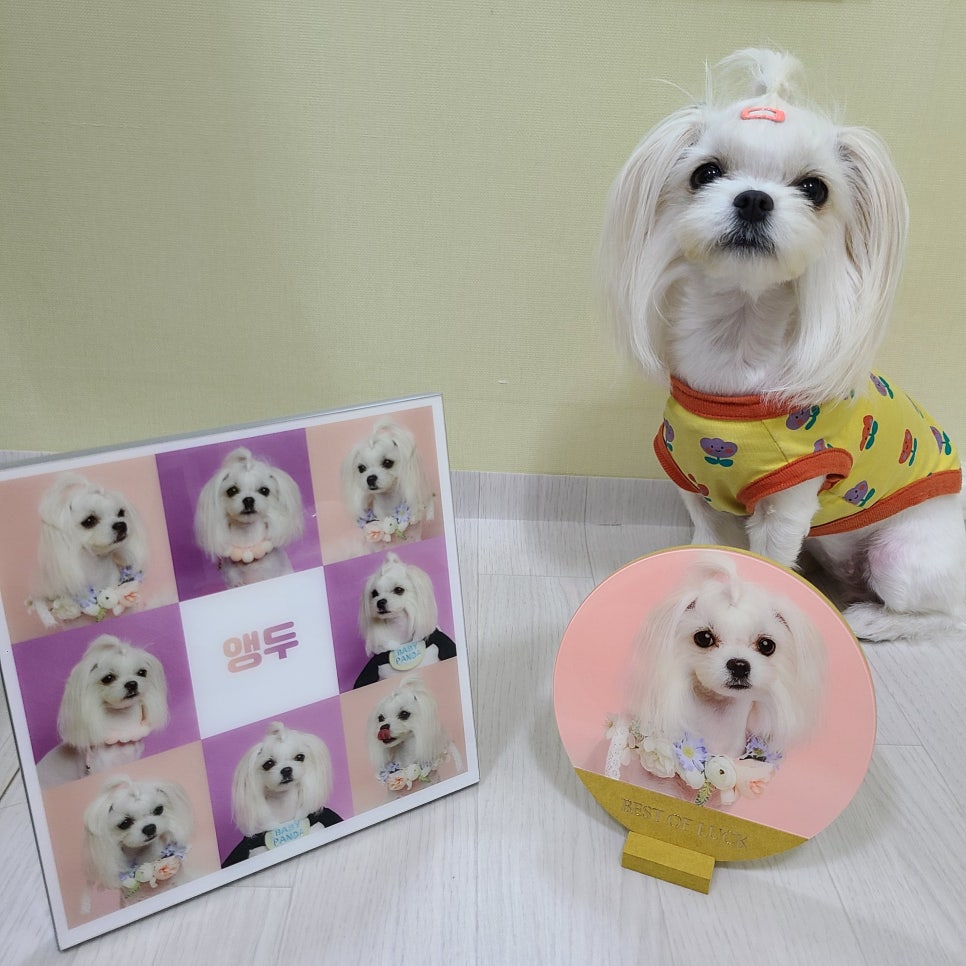 네모사진관 이미지