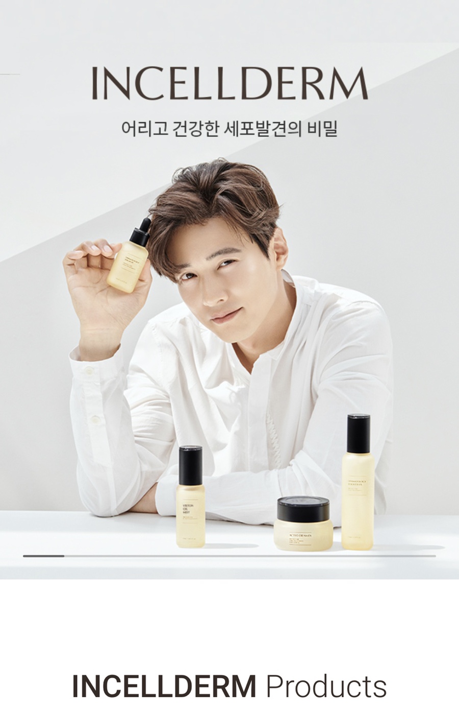 세계로 인셀덤 이미지