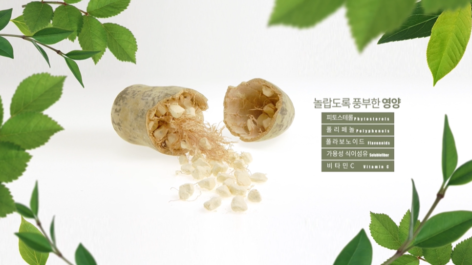 인포모션 이미지