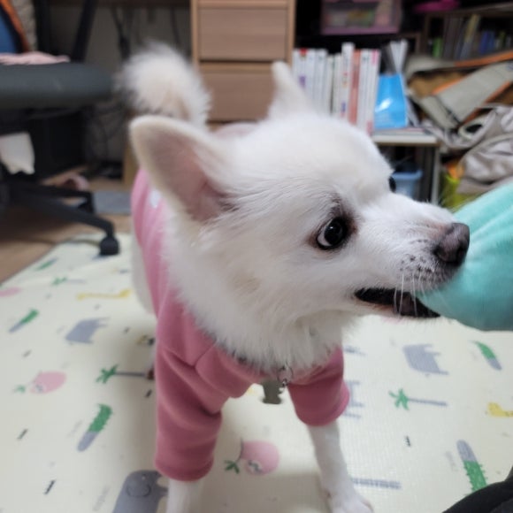 황실짜장 이미지