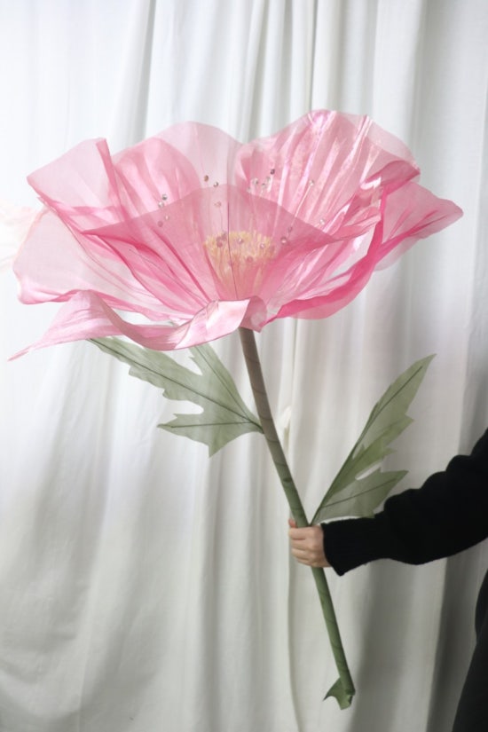 양귀비플라워 이미지