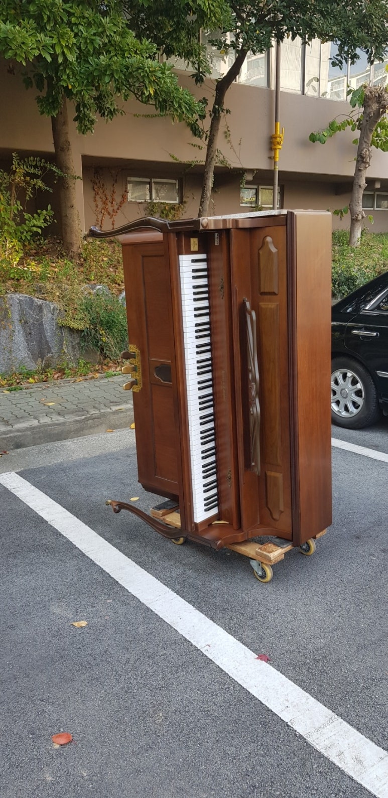 부영상회 이미지