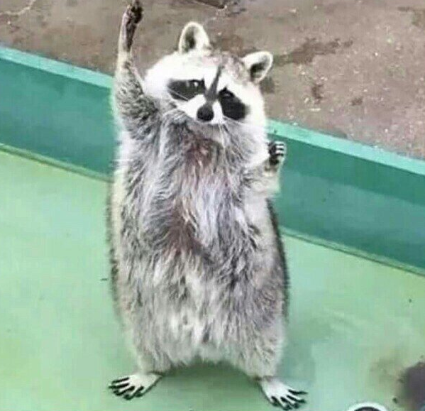 구운통닭 이미지
