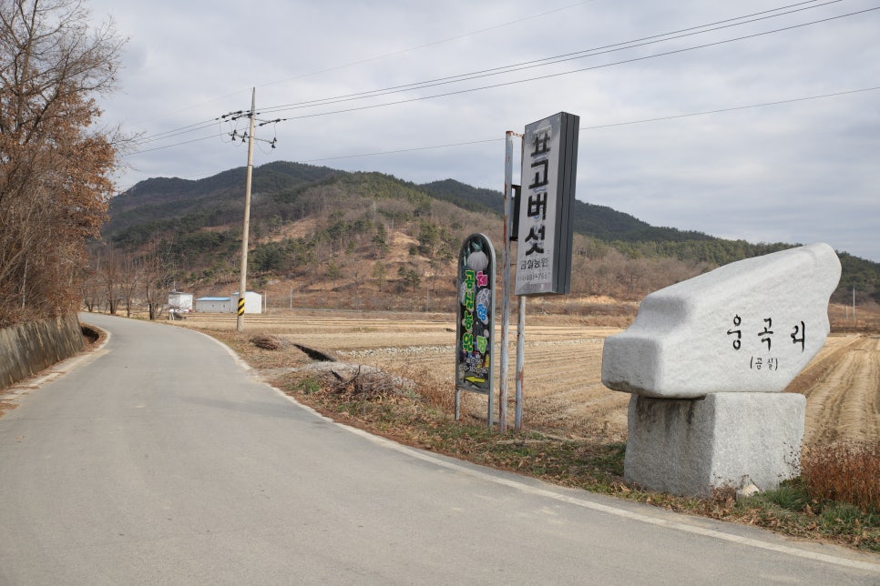 곰실농원체험장 이미지