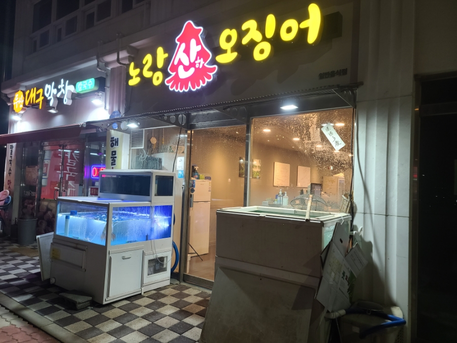 노랑산하오징어 이미지