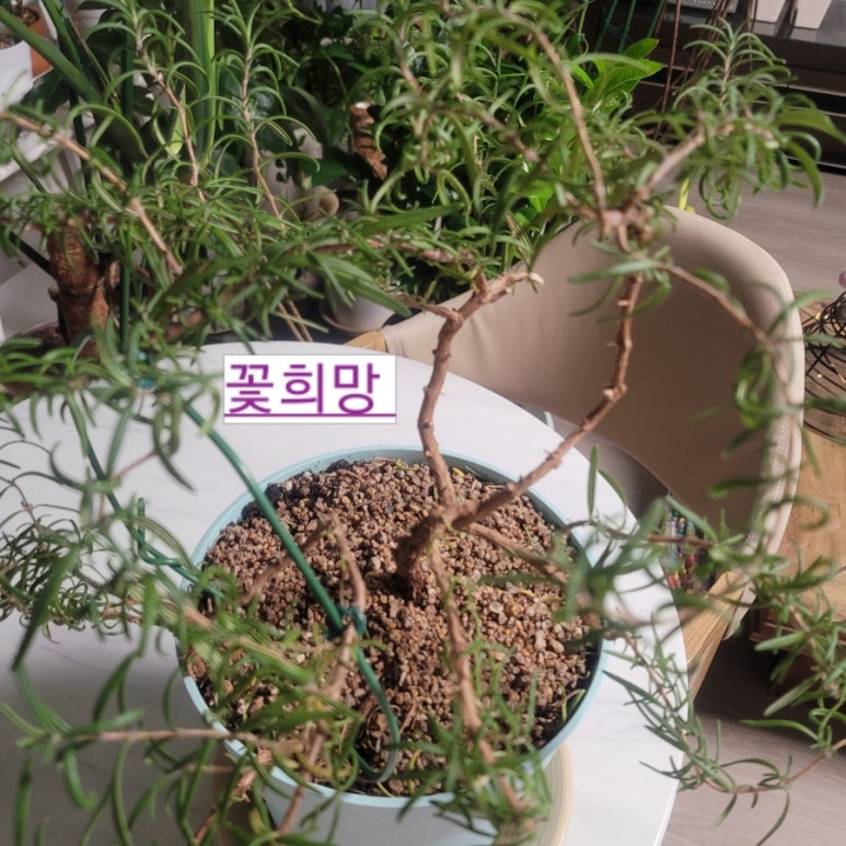 금호이발 이미지