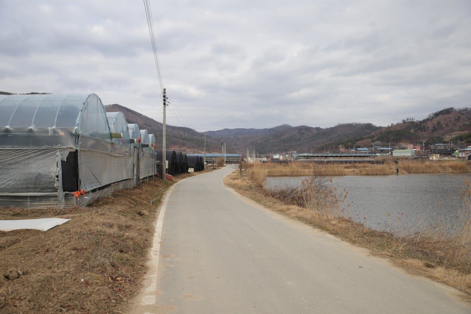 곰실농원체험장 이미지