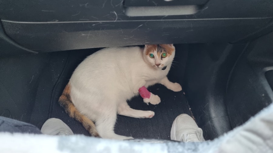 윤메디컬 이미지