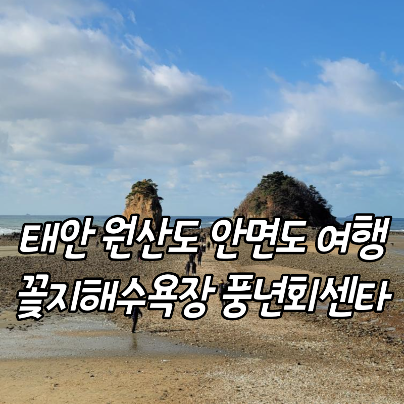 풍년여행사 이미지