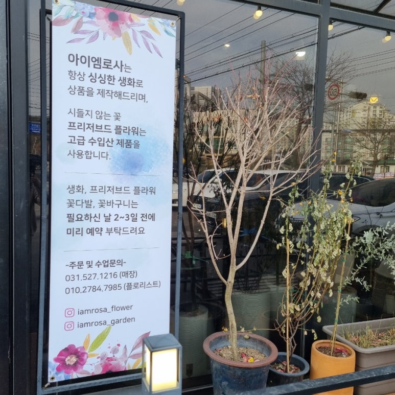 아이엠로사 이미지
