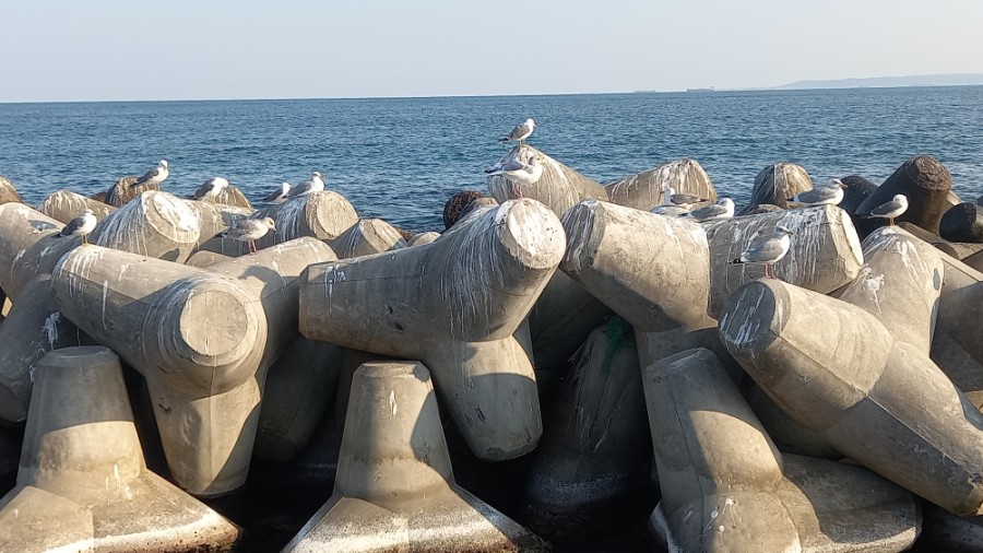 오도마을구판장 이미지