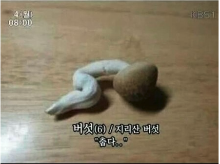 알리칸테 이미지