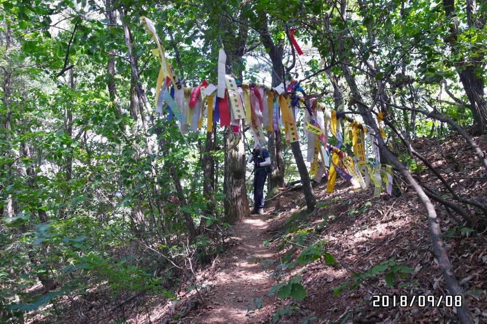 사람사랑산 이미지