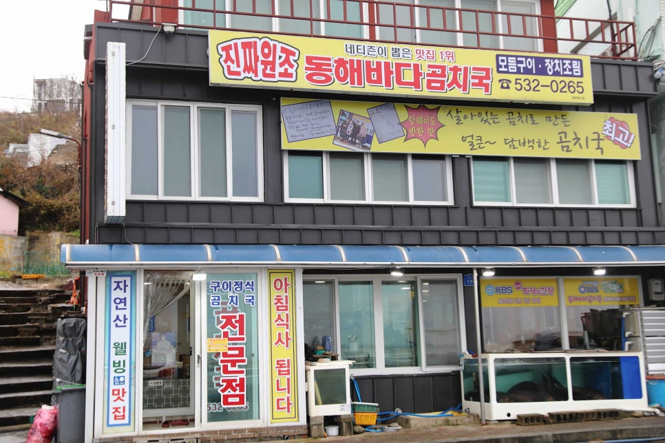 동해곰치 이미지