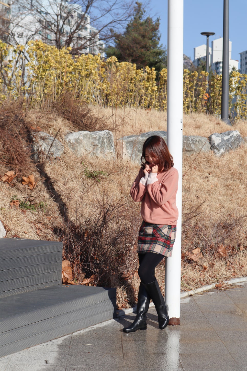 씨드느와 이미지
