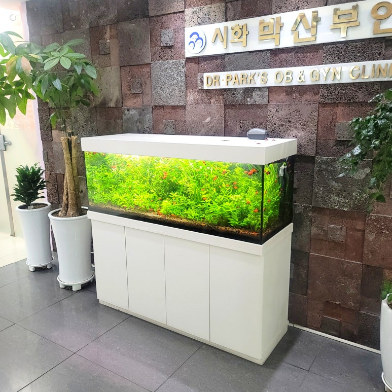 시화박산부인과 이미지