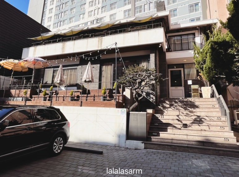 더메리어 이미지