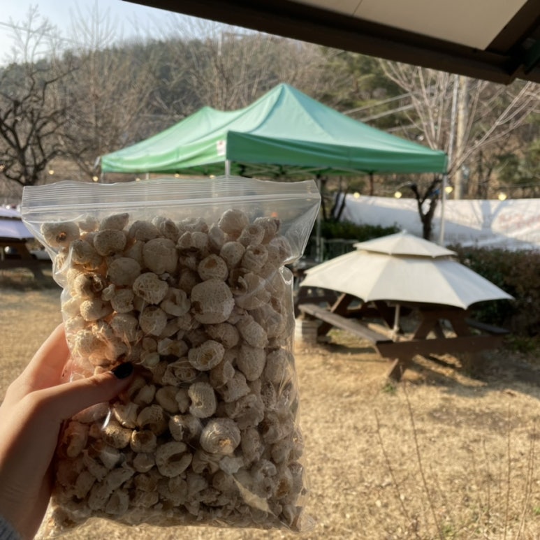 예원쉼터 이미지