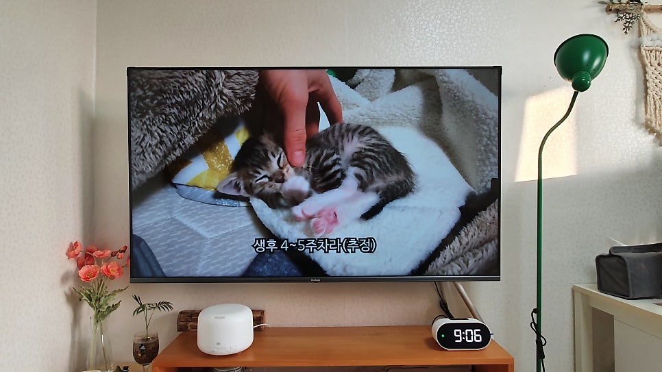 뚜바마켓 이미지