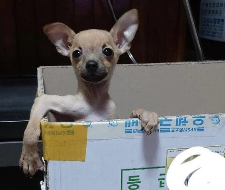 따시다 이미지