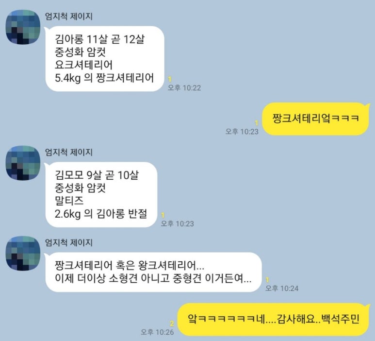 백석사 이미지
