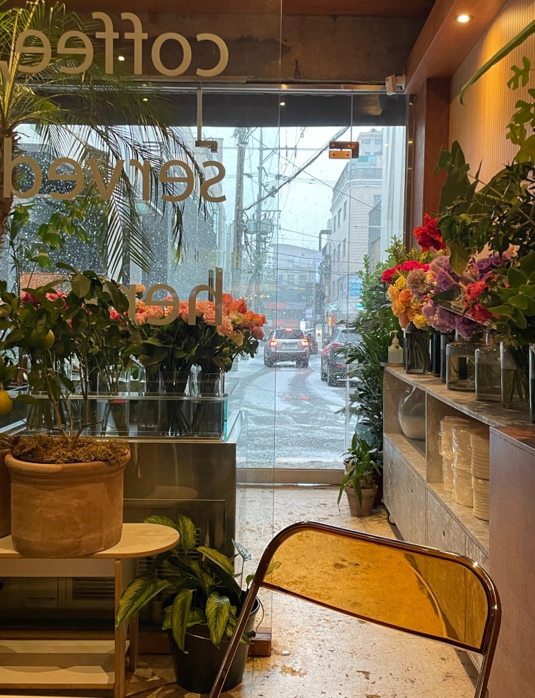제일화원바이와이지 이미지