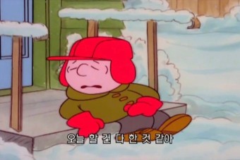 나움 이미지