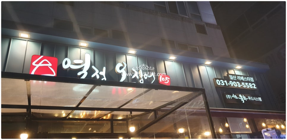 열정오징어 이미지