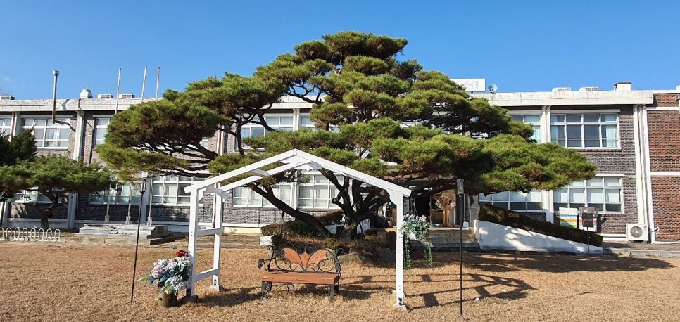도비예술학교 이미지