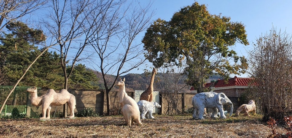 도비예술학교 이미지
