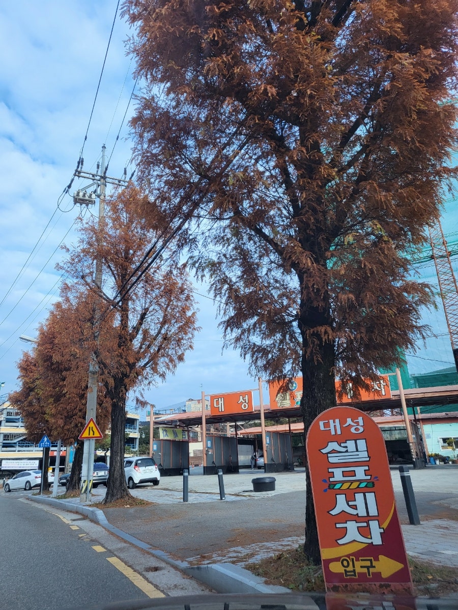 대성세차장 이미지