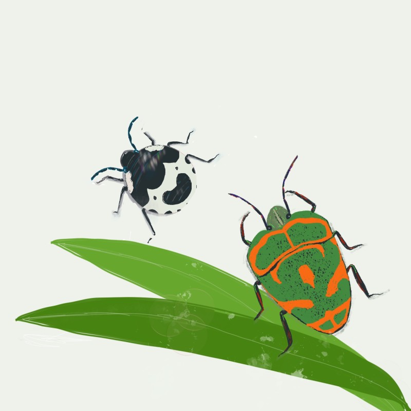 ON 숲 이미지