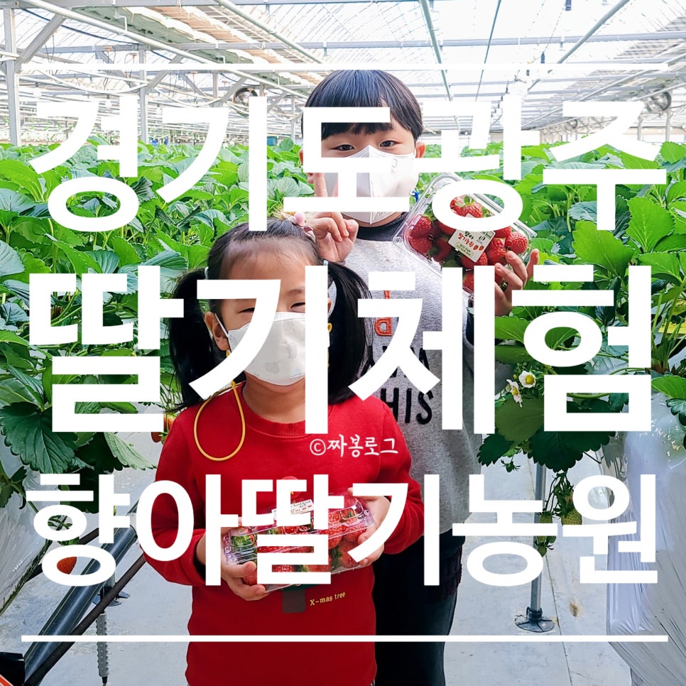 향아농원 이미지