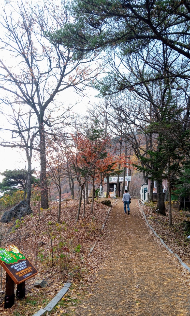 심항산 유아숲체험원 이미지