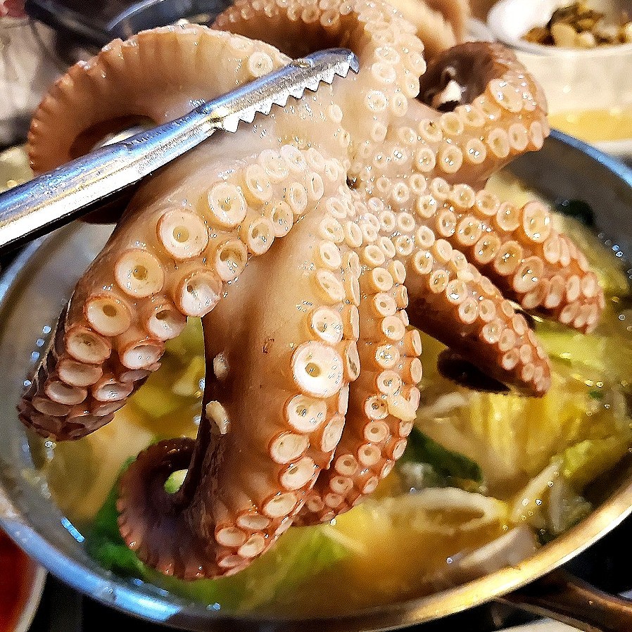 바다화원 이미지