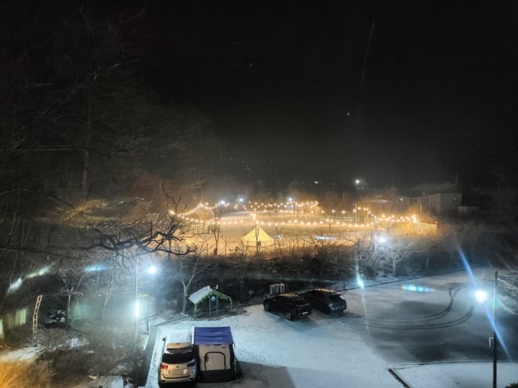 라이프위드도그 이미지