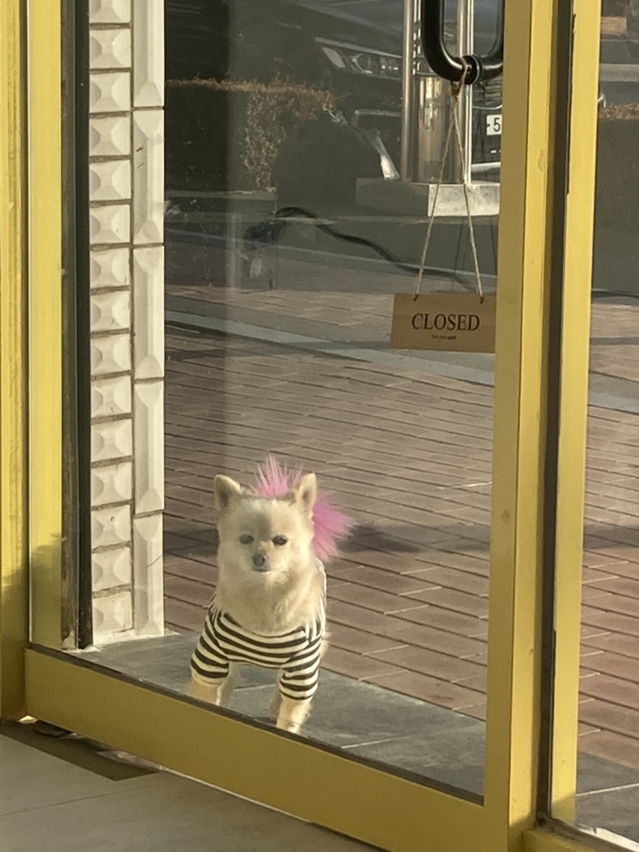 구루미베이크샵 이미지