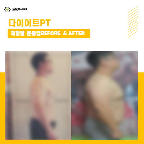 네츄럴박스 이미지