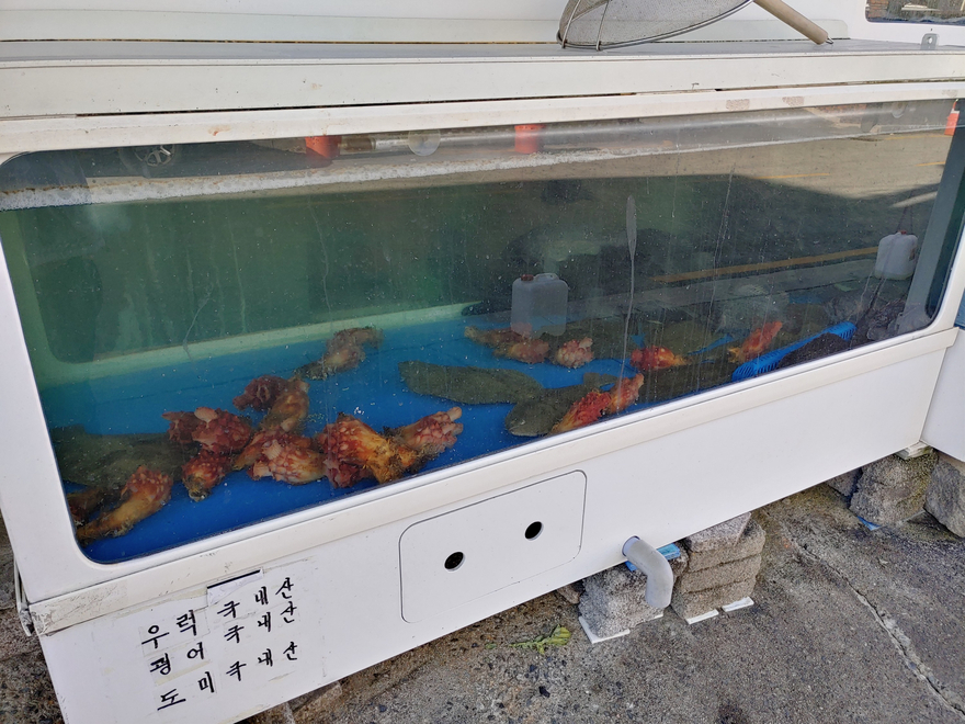 바다소리새꼬시 이미지