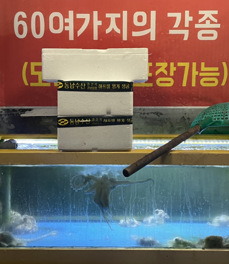토탈안주 이미지