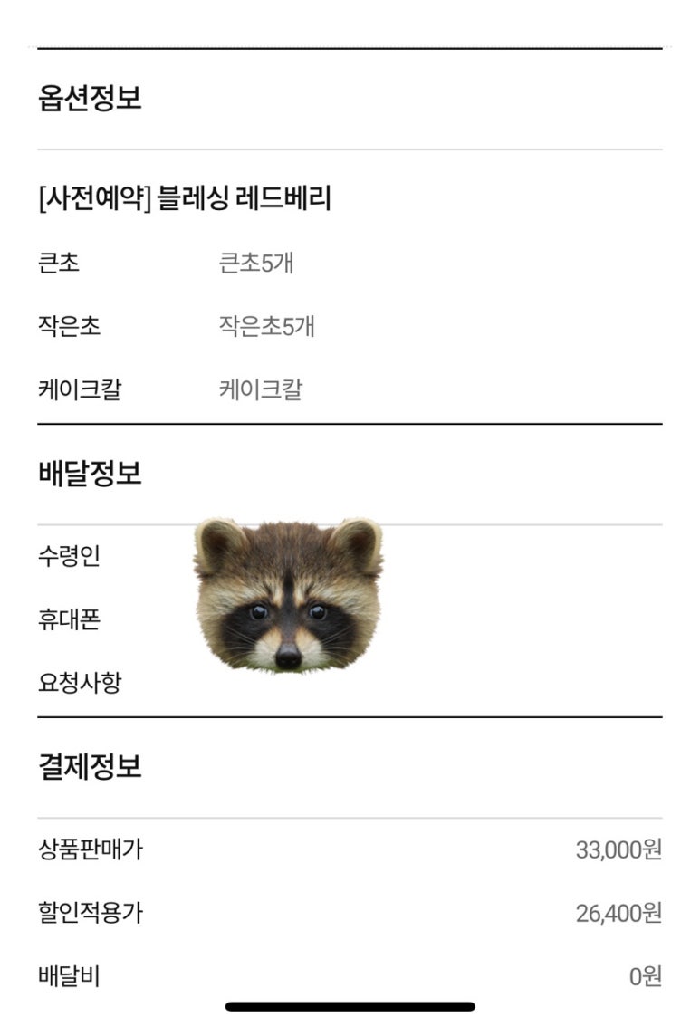 레드베리 이미지